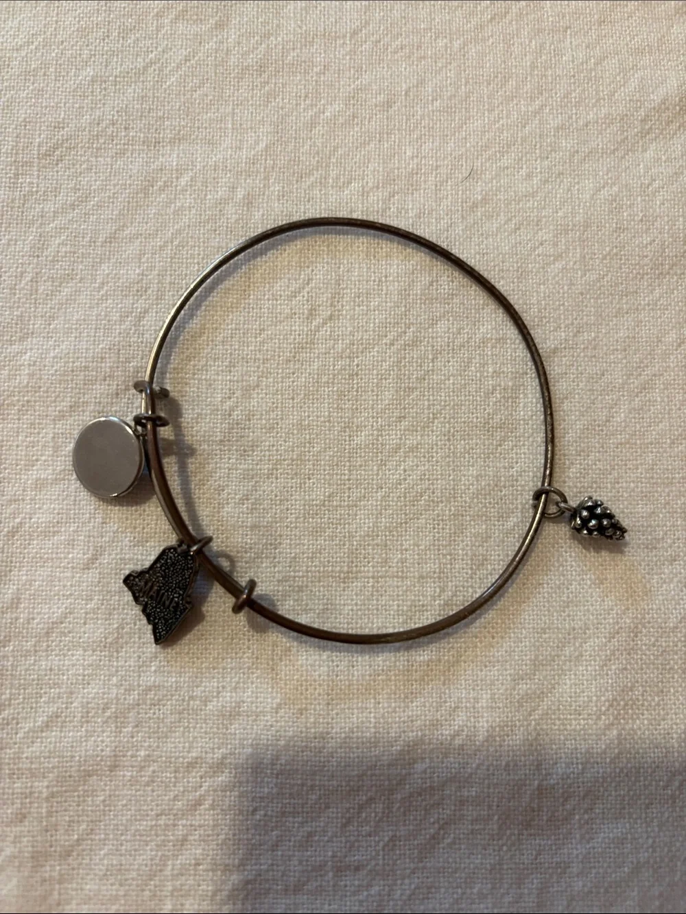 Alex and Ani Maine Charm Bracelet